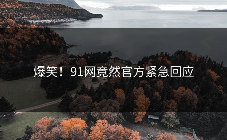 爆笑！91网竟然官方紧急回应