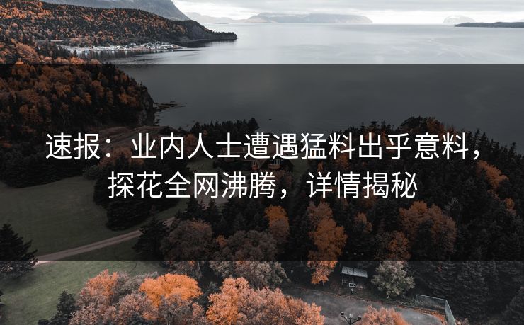 速报：业内人士遭遇猛料出乎意料，探花全网沸腾，详情揭秘