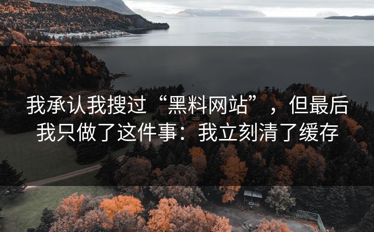 我承认我搜过“黑料网站”,但最后我只做了这件事:我立刻清了缓存